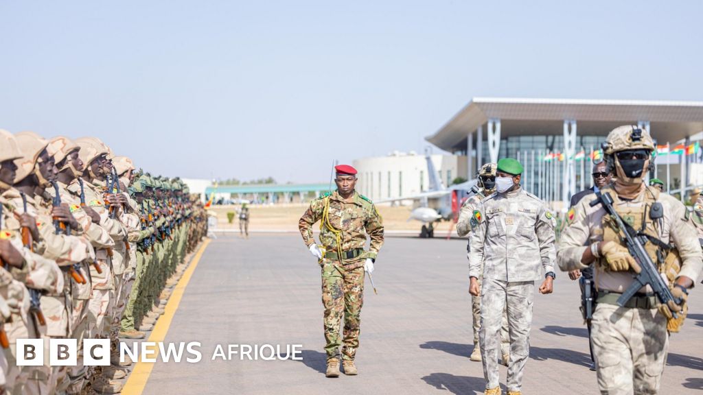 How the AES unified force plans to secure the Sahel region