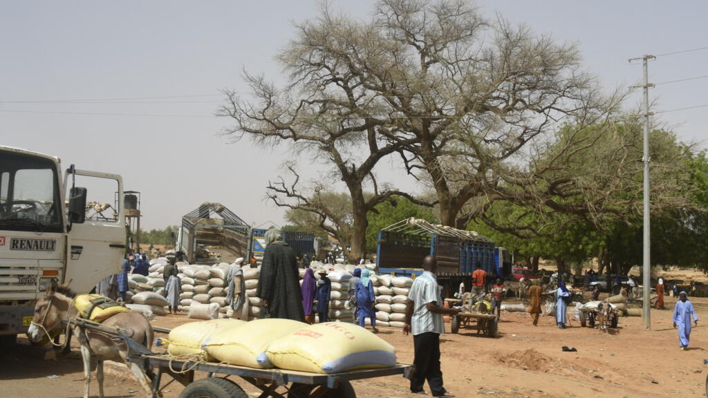 Massive displacement in western Niger as armed groups force villagers to flee