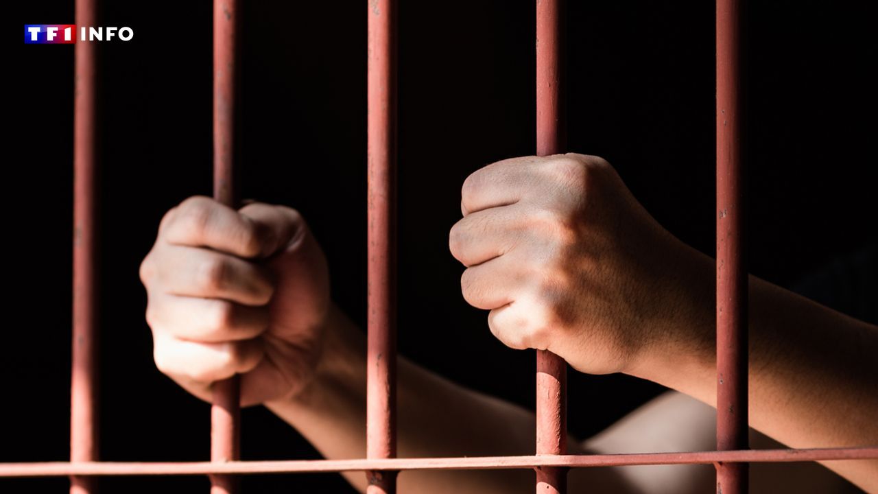 French national detained in Senegal amidst anti-lgbt+ law enforcement