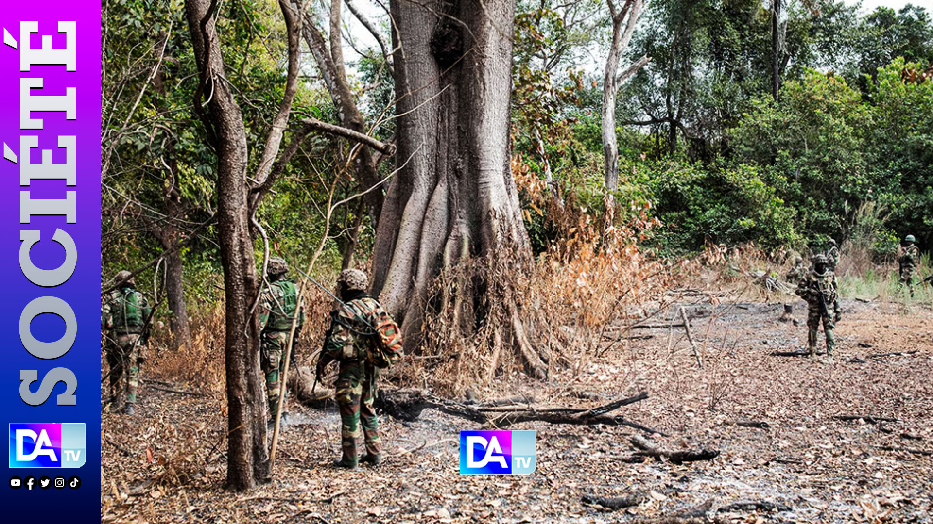 Casamance conflict: weakened rebels but cannabis threat to peace persists