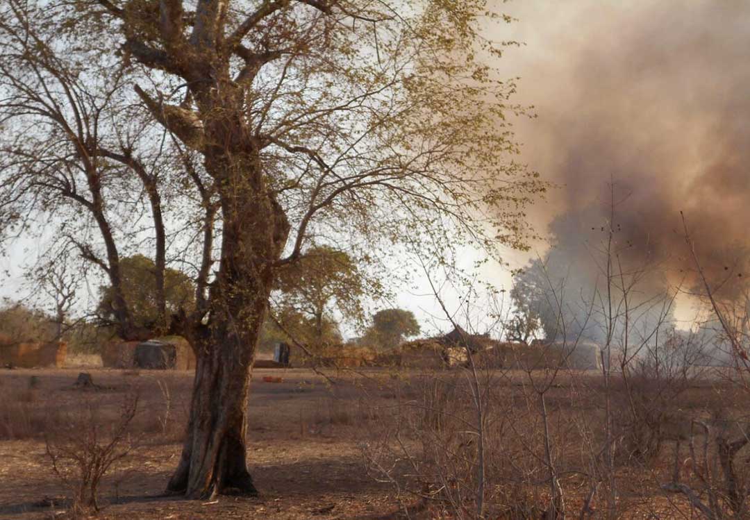 Militant factions clash for control of Nigeria’s strategic sambisa forest