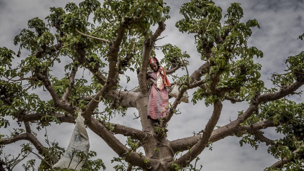 « Nous vivons dans la faim » : au Niger, la pire crise économique depuis une génération