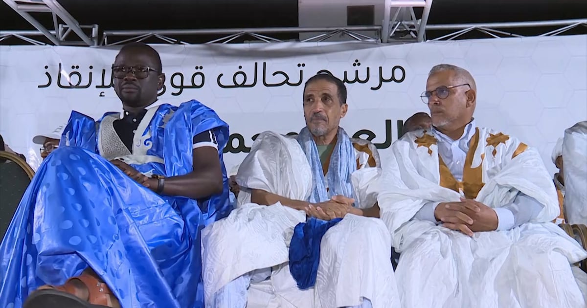 Mauritania’s new opposition leader faces pressing national challenges