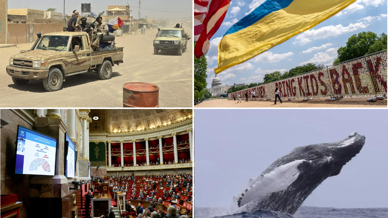 Mali’s complex alliances: assessing the jnim and fla collaboration