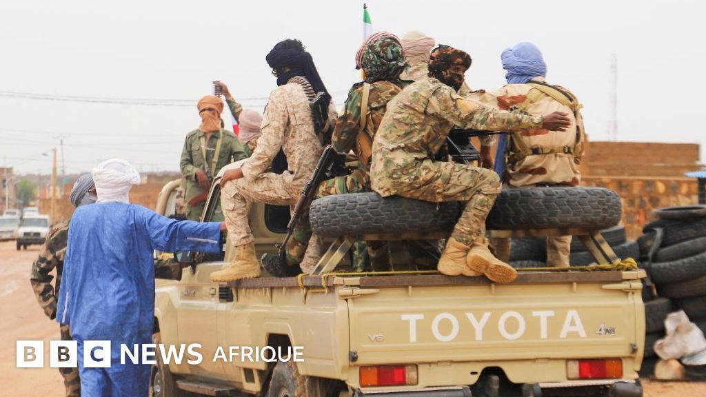 Mali under pressure: understanding the JNIM and FLA alliance against the military junta