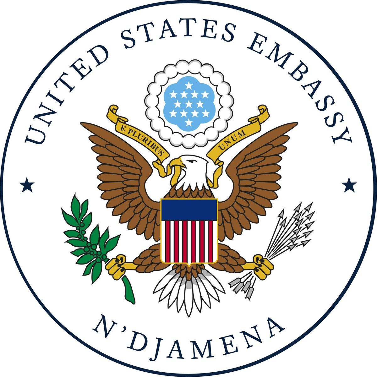 US Embassy in Chad virtual meeting for American citizens