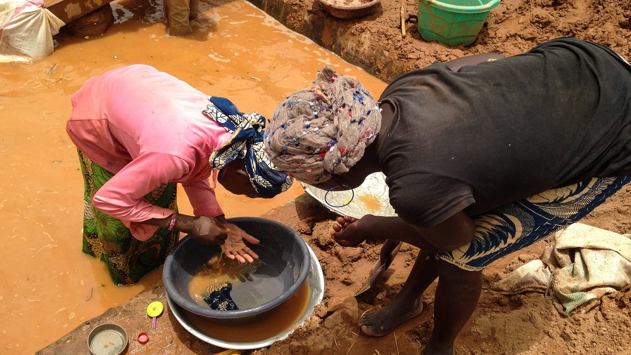 Cameroon’s phantom gold: billions bypassing state coffers