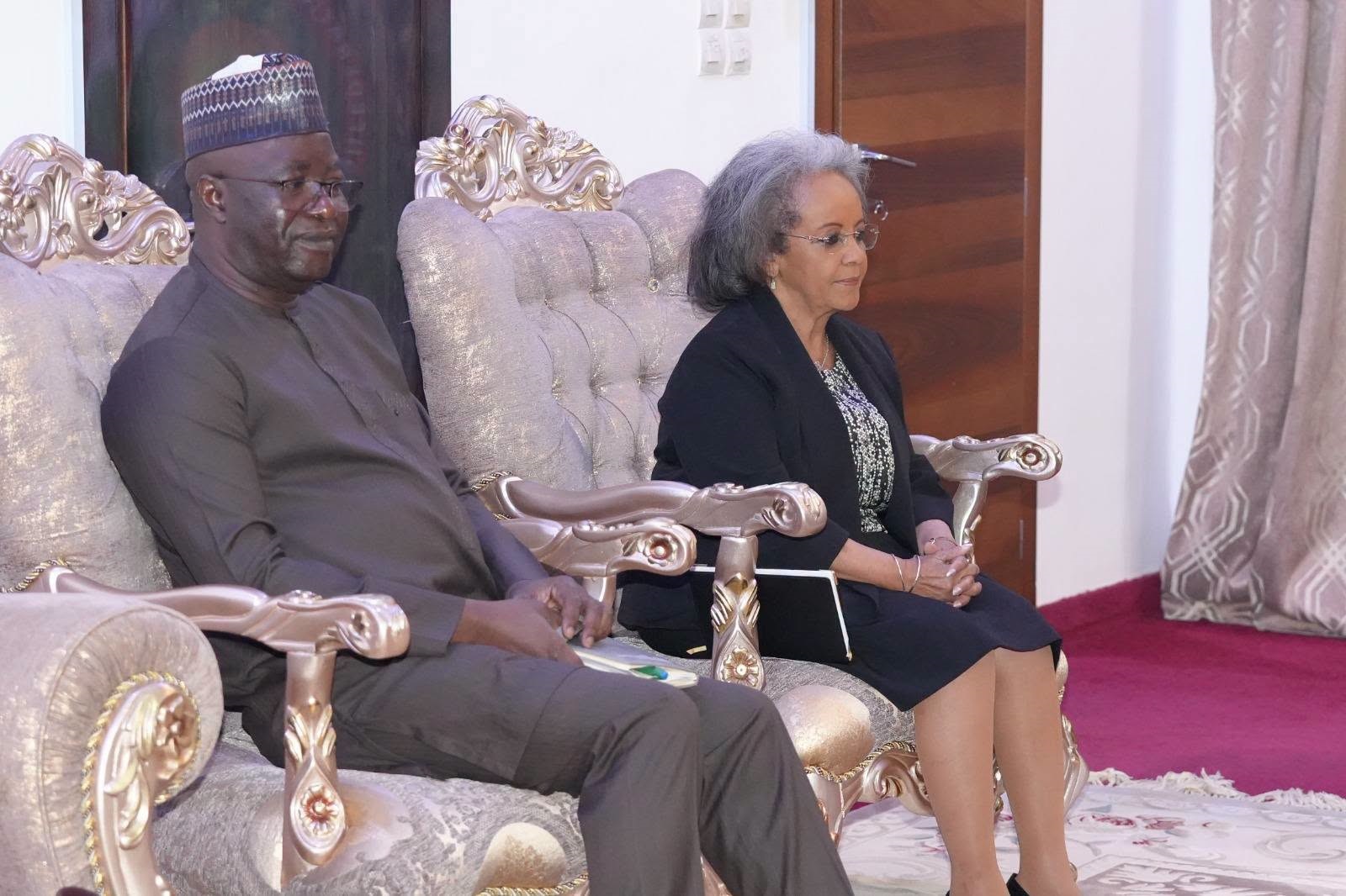 Niger Consultative Council of Refoundation meeting